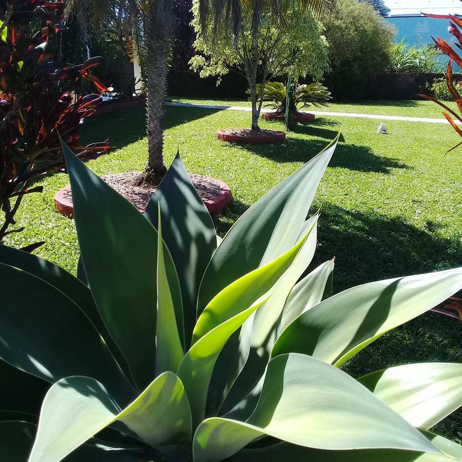 Ecohostel Dos Canyons Santa Catarina برايا جراندي المظهر الخارجي الصورة