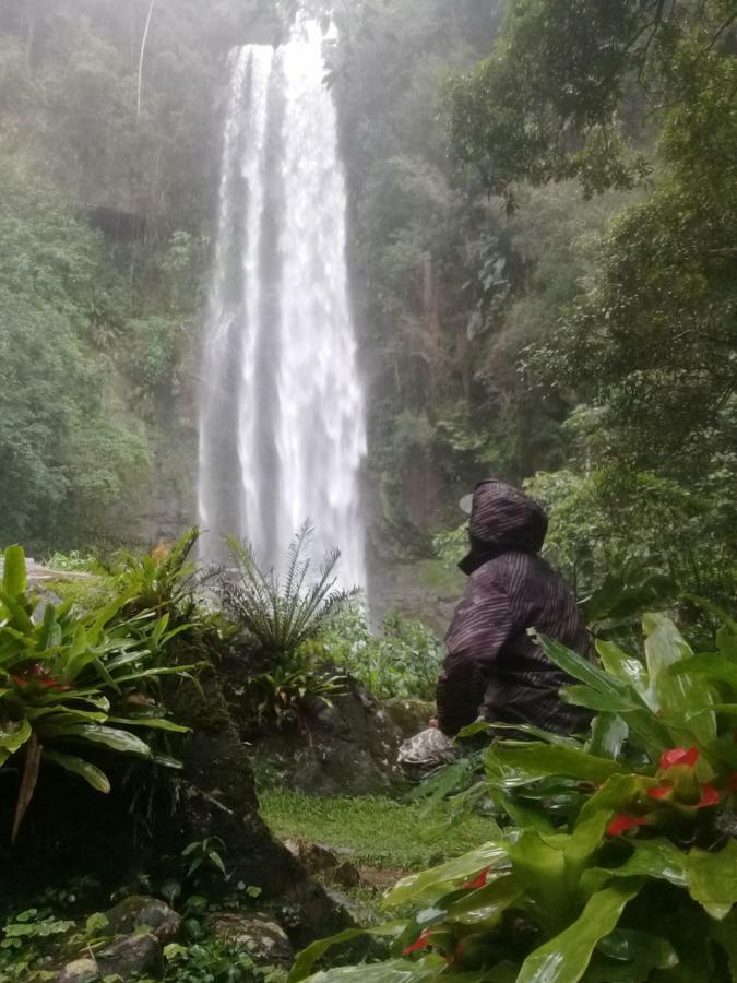 Ecohostel Dos Canyons Santa Catarina برايا جراندي المظهر الخارجي الصورة